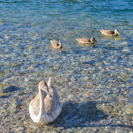 Apartment Bellagio *