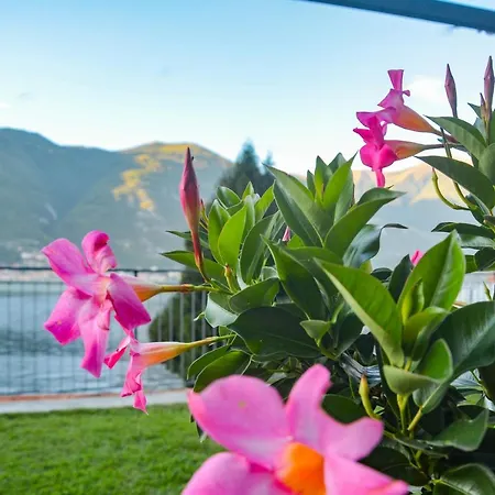 Bellagio Apartment *